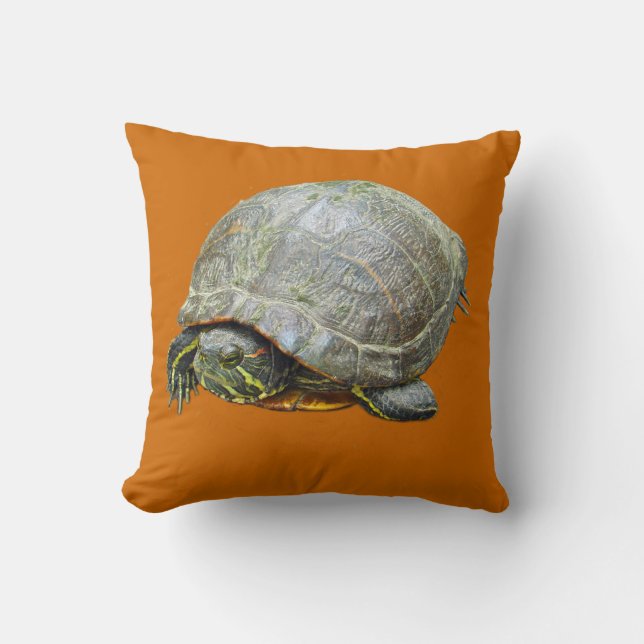 Pillow, målad kudde (Framsida)