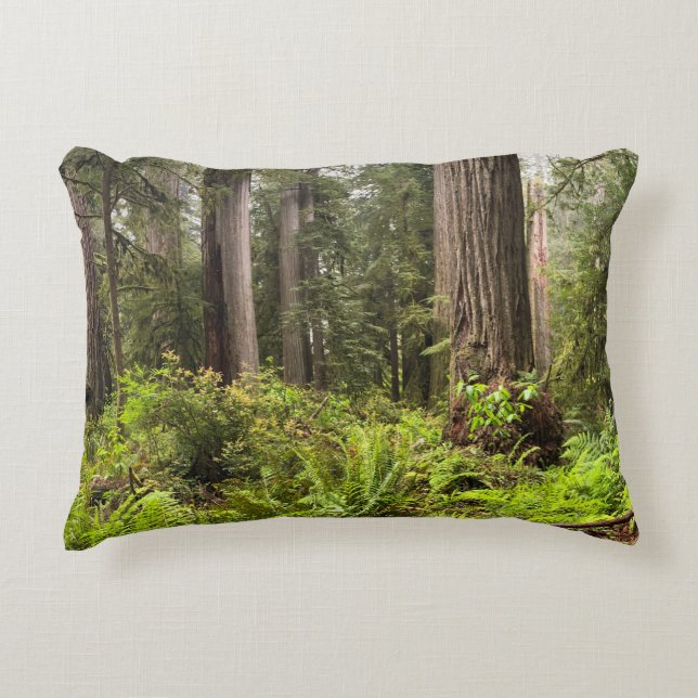 Pillow med Redwood Träd Prydnadskudde (Framsidan)