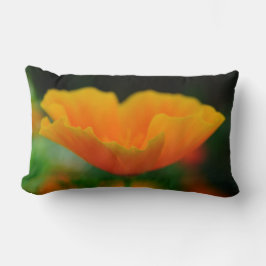 Pillow of Poppies! Lumbarkudde