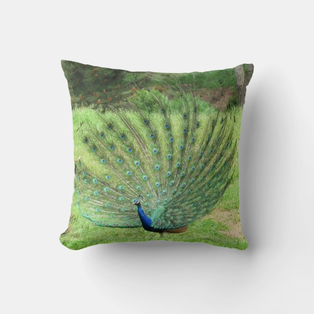 Pillow - Peacock Kudde (Framsida)