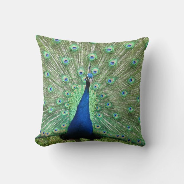 Pillow - Peacock på Visning Kudde (Framsida)