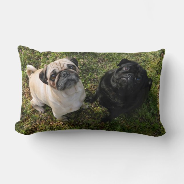 Pillow-personlig, svartvita puggar, NYA Lumbarkudde (Framsida)