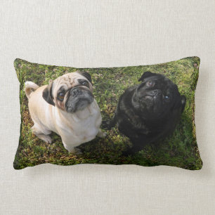 Pillow-personlig, svartvita puggar, NYA Lumbarkudde