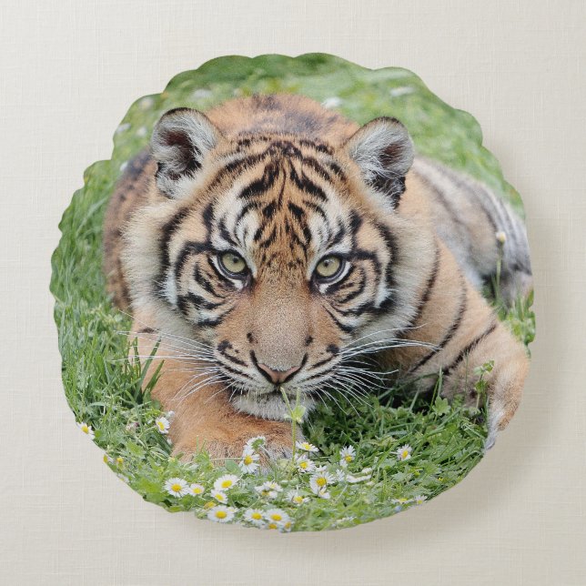 Pillow Photo tiger cat , animals 01 . round Bedow Rund Kudde (Framsidan)