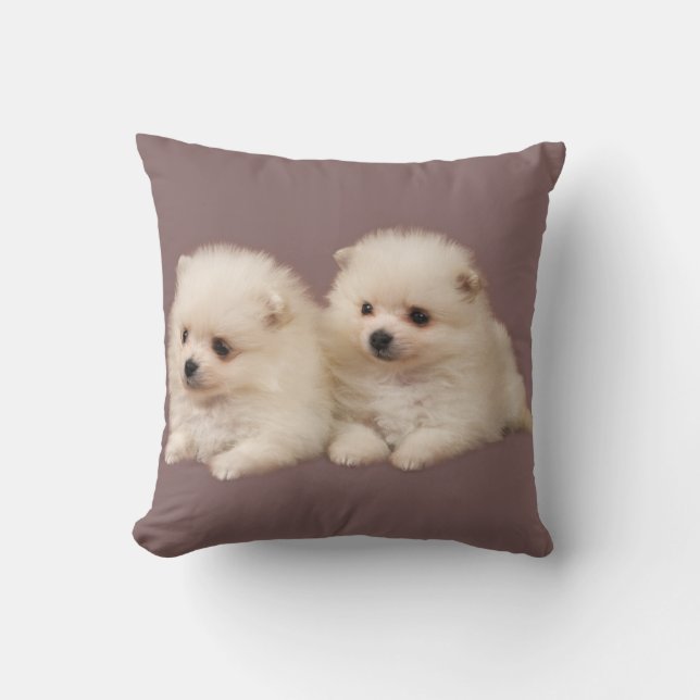 Pillow Pommo Pommern Pelow Kudde (Framsida)