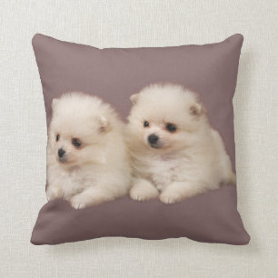Pillow Pommo Pommern Pelow Kudde