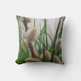 Pillow (PussyWillowsInGrass) RFPMDesigns ©️ 2012 Kudde