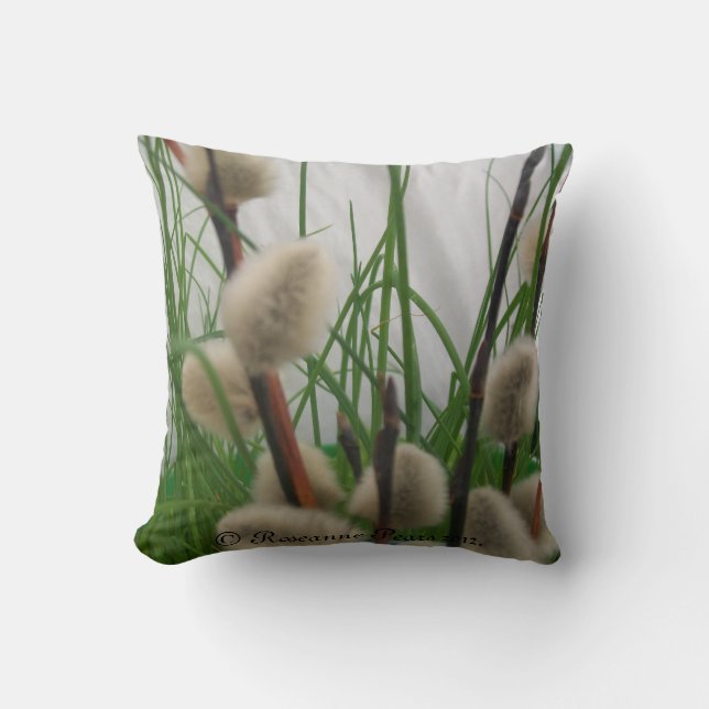 Pillow (PussyWillowsInGrass) RFPMDesigns ©️ 2012 Kudde (Framsida)