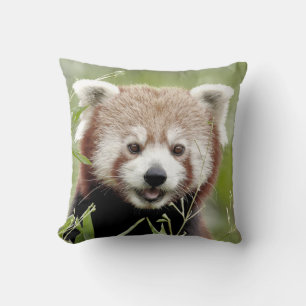 Pillow-röd panda. kudde