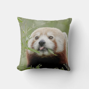Pillow-röd panda. kudde
