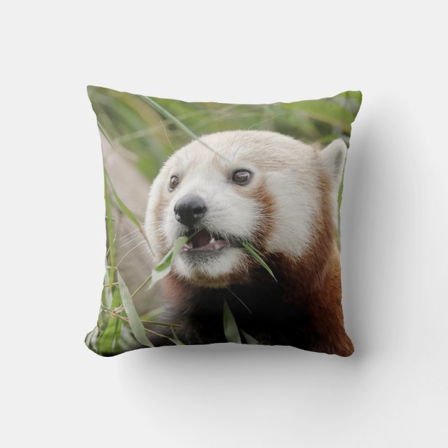 Pillow-röd panda. kudde (Framsida)