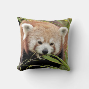 Pillow-röd panda. kudde