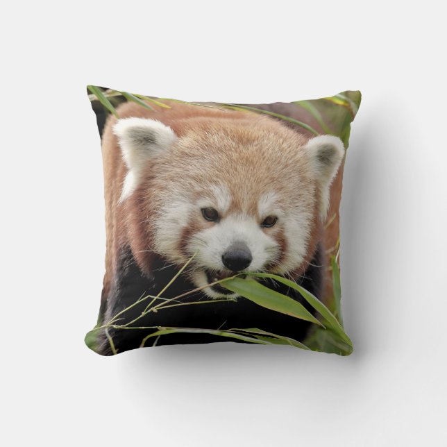 Pillow-röd panda. kudde (Framsida)