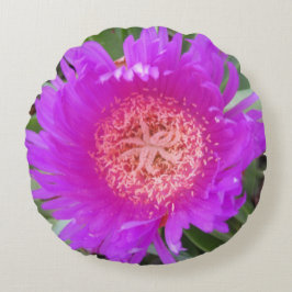 Pillow Round Pillow Rund Kudde