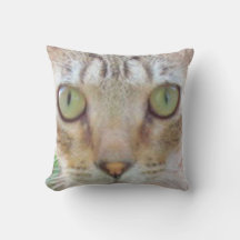 Pillow - Tabby katt Ansikte