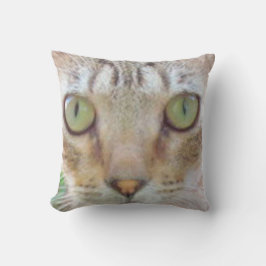 Pillow - Tabby katt Ansikte Kudde