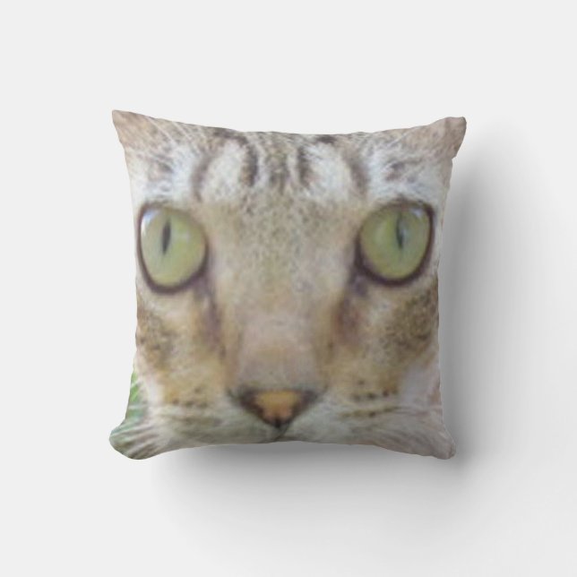 Pillow - Tabby katt Ansikte Kudde (Framsida)