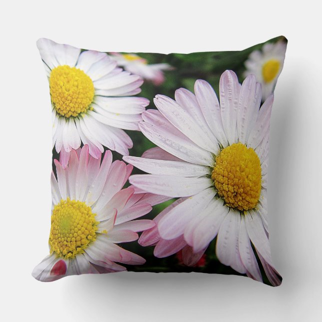 Pillow tre söta, rosa daisy kudde (Framsida)