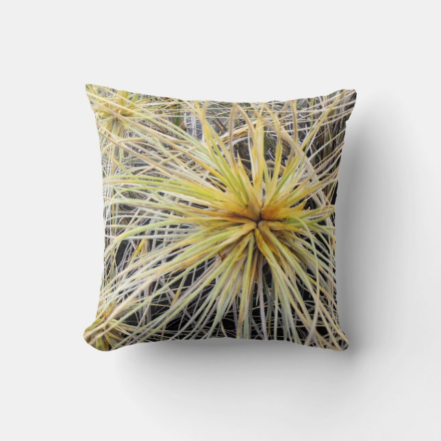 Pillow visar spinifex-gräs kudde (Framsida)