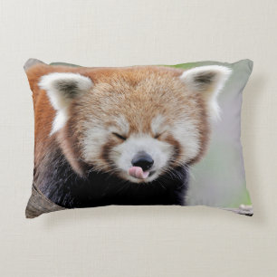 Pillows fotoröd panda. Panda roux. Djur. Prydnadskudde