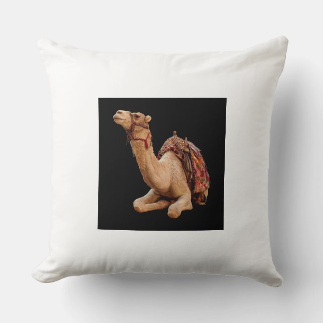 Pillows & Poufs Kudde (Framsida)