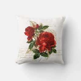 PillowThrow Pillow 20 x 20 tum Kudde