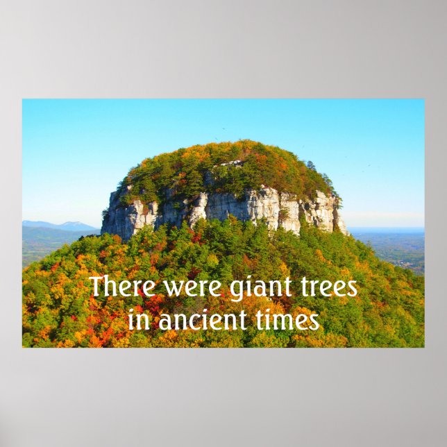 Pilot Bergslandskap och Träd Poster (Framsidan)