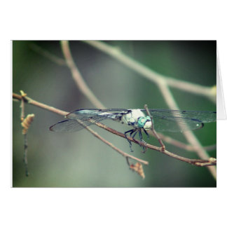 Pilot- drakefluga för helikopter hälsningskort