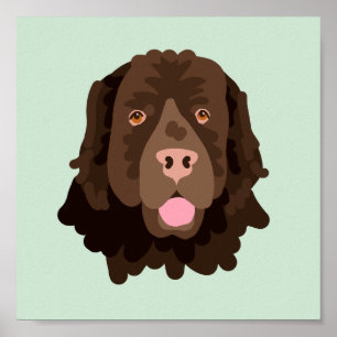 Pilot Hund Porträtt Poster