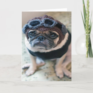 Pilot- mops kort