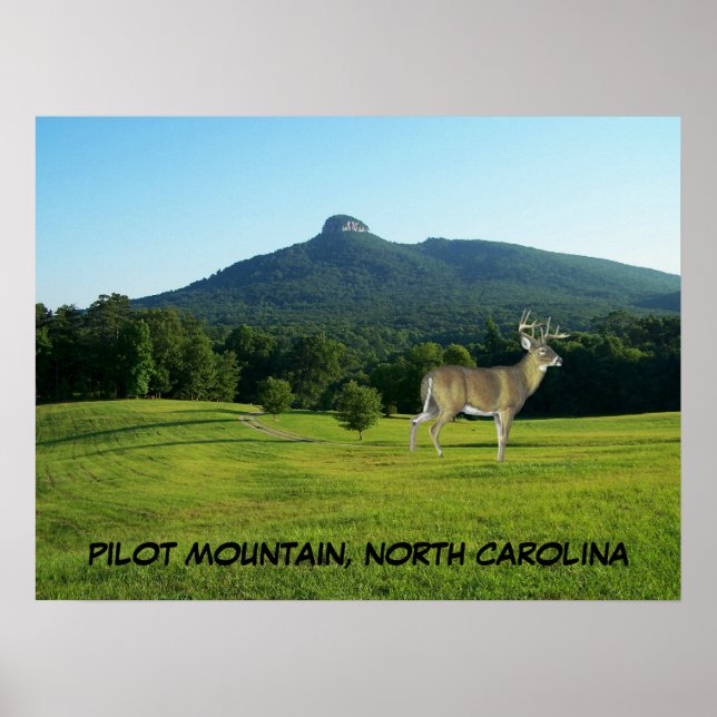 PILOT MOUNTAIN, NORTH CAROLINA POSTER (Framsidan)