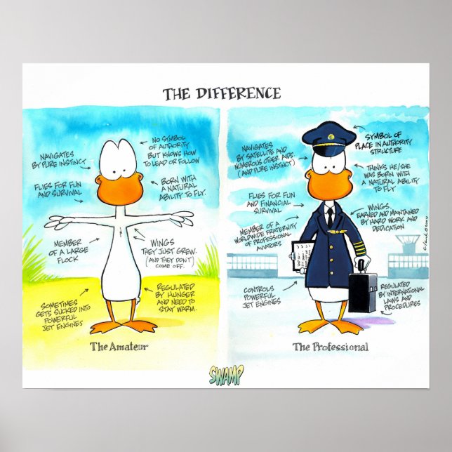 Pilot- och Amateurdifferenser Poster (Framsidan)