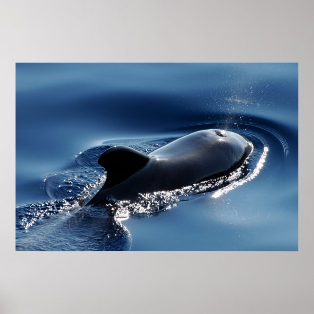 Pilot val poster (Framsidan)