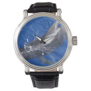 Pilot Whale i Hawaii Armbandsur