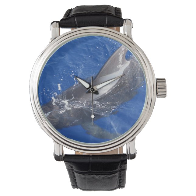 Pilot Whale i Hawaii Armbandsur (Framsida)