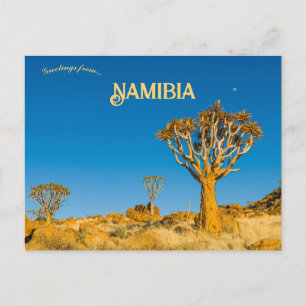 Pilträd i Namibia Vykort