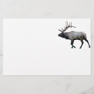 Pilvapitiälg Brevpapper