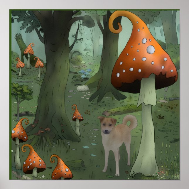 Pilzwald Poster (Framsidan)