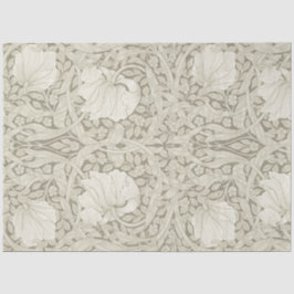 Pimpernel Ivory, William Morris
