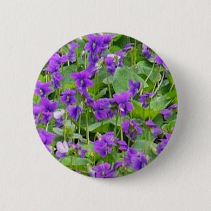 Pin-back-knapp för Wisconsin Wood Violets Knapp
