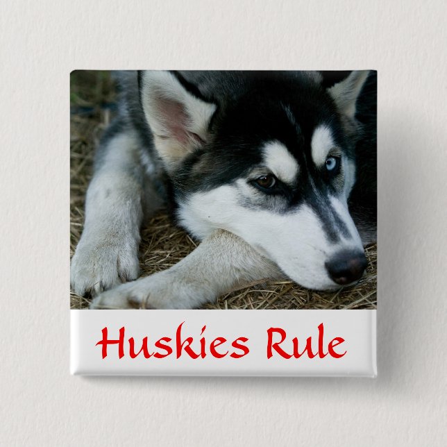 Pin-knapp för Huskies-regel Siberian husky Knapp (Framsida)