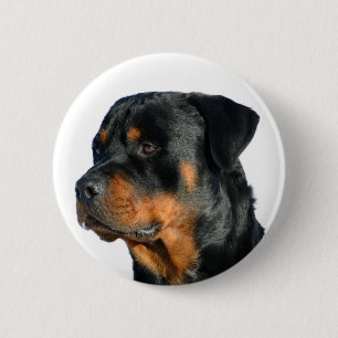 Pin-knapp för Kärlek Rottweiler Black & Brown Pu Knapp