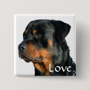 Pin-knapp för Kärlek Rottweiler Black & Brown Pu Knapp