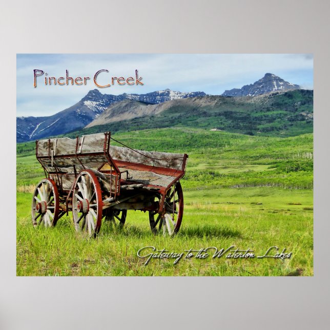 Pincher Bäck Alberta Poster (Framsidan)