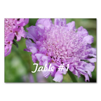 Pincushion Flowers Bordsnummer