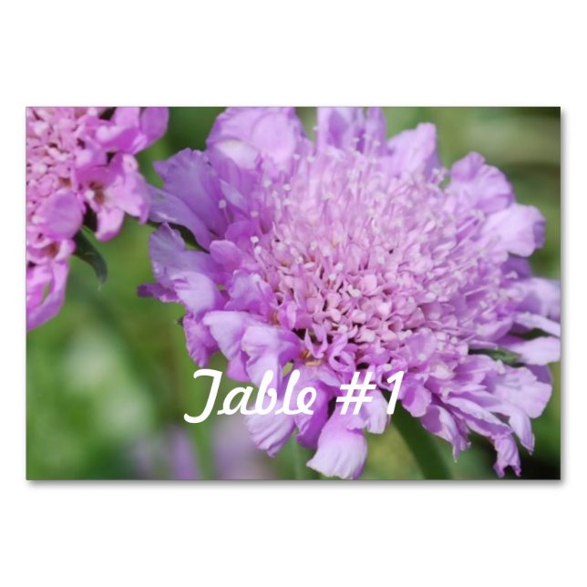 Pincushion Flowers Bordsnummer (Framsidan)