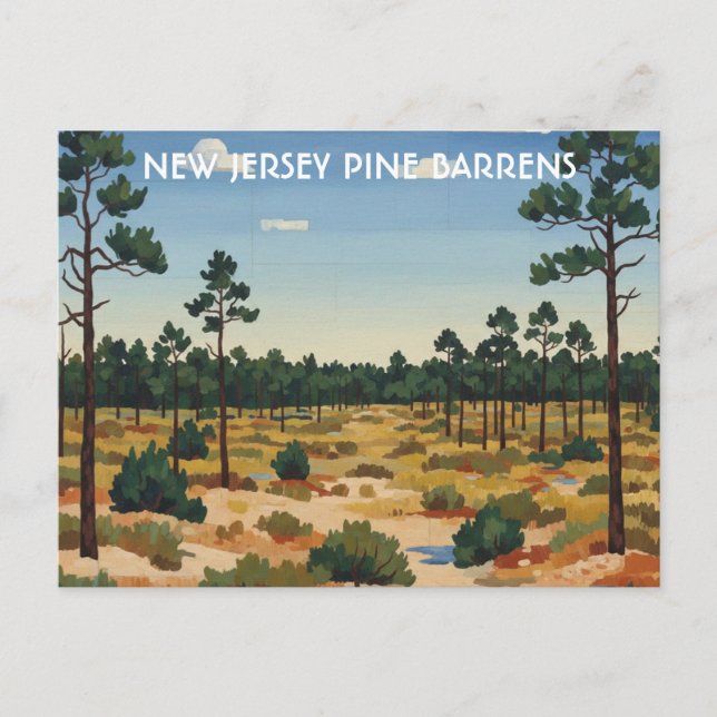 Pine Barrens New Jersey Resa Vykort (Framsida)
