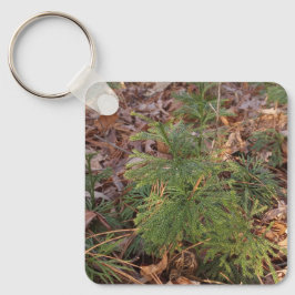 Pine Sapling Keychain Nature-Inspired Gift Nyckelring