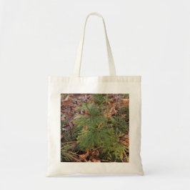 Pine Tree Sapling Photo Canvas Tote Bag Tygkasse