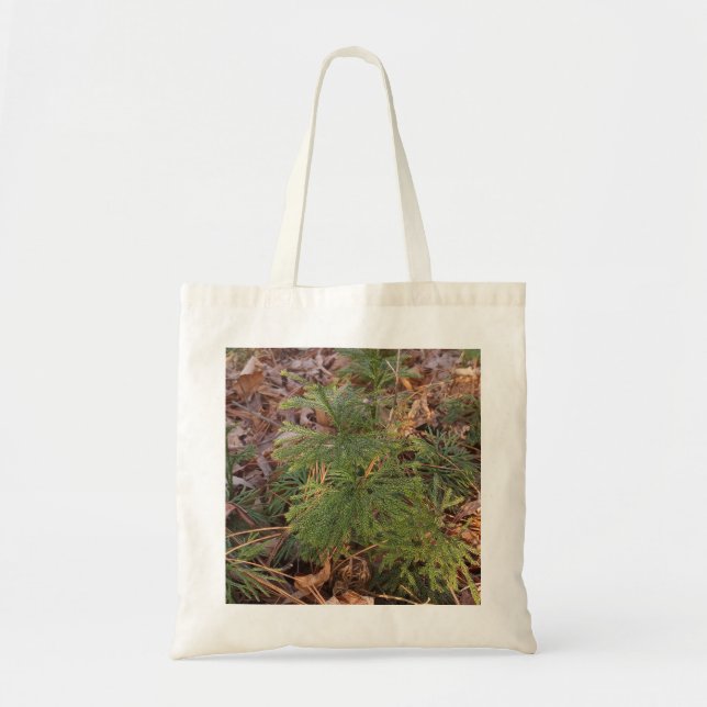 Pine Tree Sapling Photo Canvas Tote Bag Tygkasse (Framsidan)